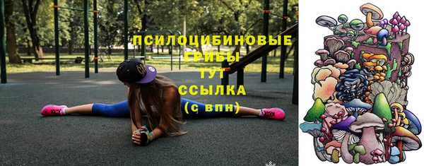 МДПВ Бугульма