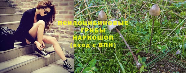 прущая мука Бородино