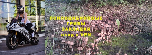 jwh Верея